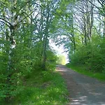 公寓 Ziegler Steinau an der Straße