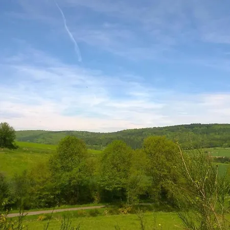 Ziegler Steinau an der Straße