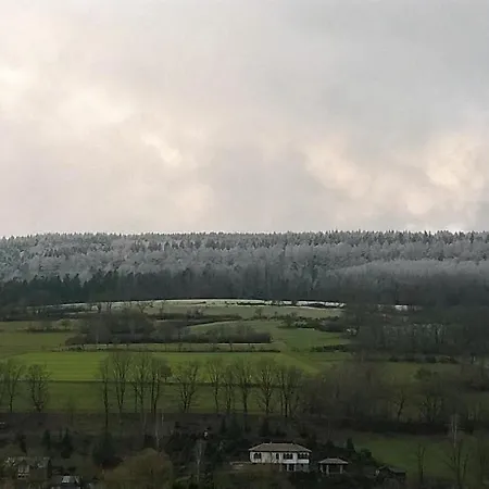Ziegler * Steinau an der Straße