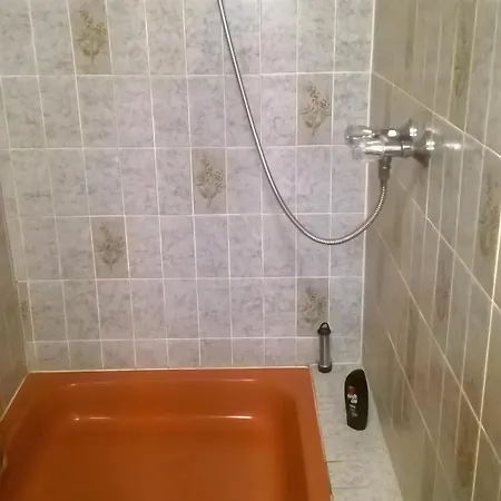 Ziegler Apartment *