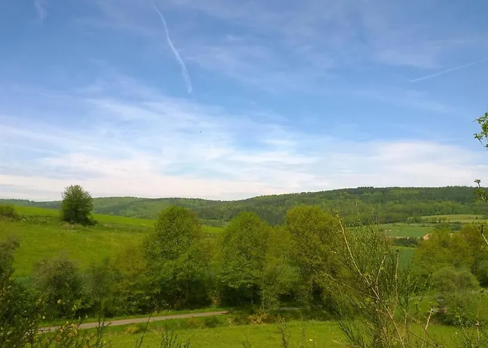 Ziegler Steinau an der Straße