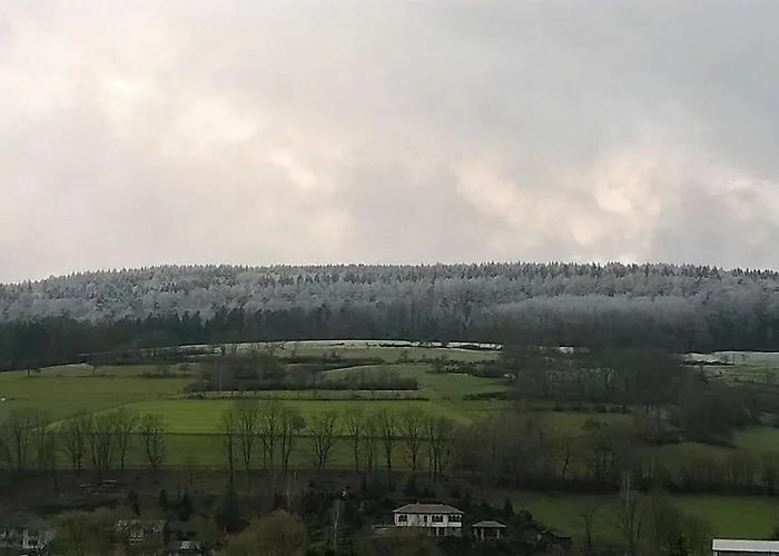 Ziegler * Steinau an der Straße